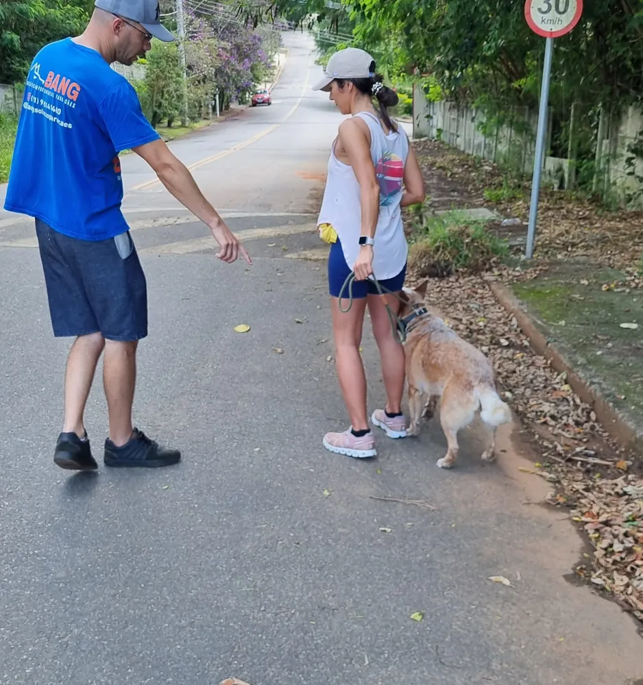 Thiago orientando uma tutora na rua, com o cão dela na guia