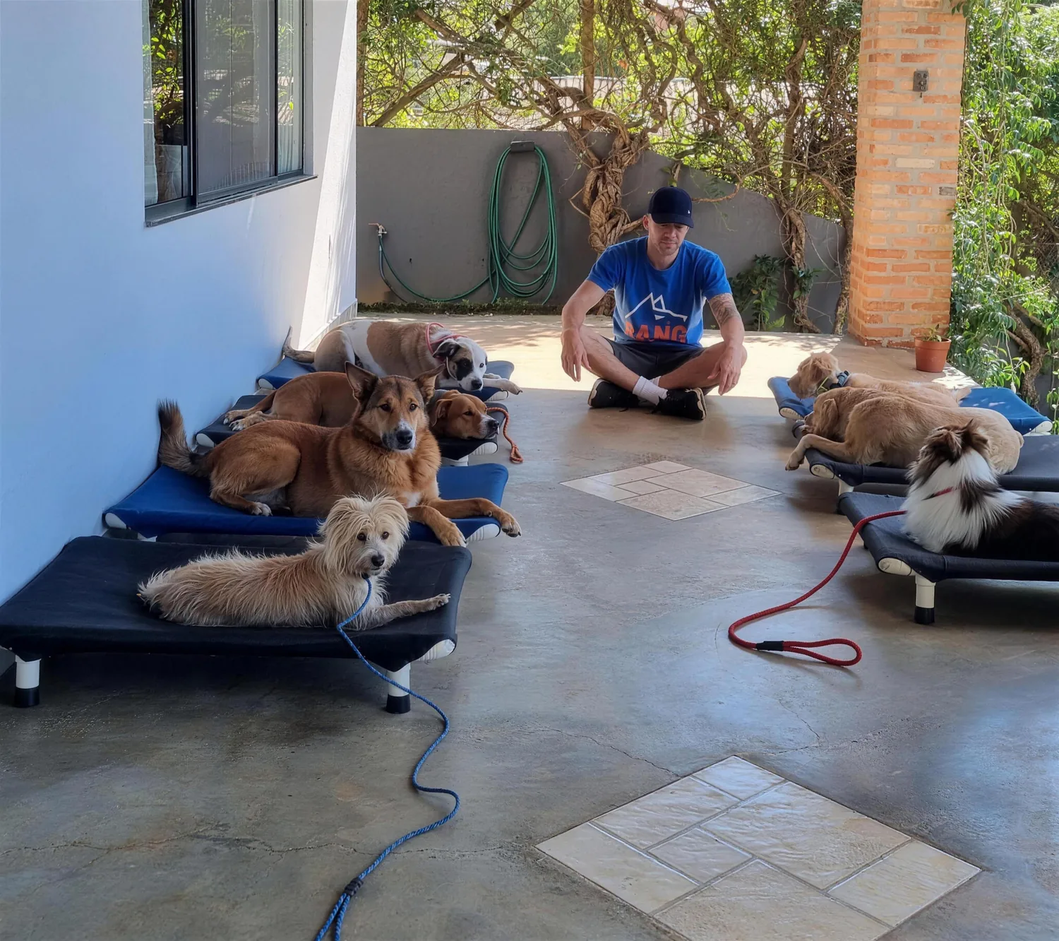 Thiago sentado no chão da varanda, com os cães deitados cada um na sua caminha, calmos, com as guias soltas